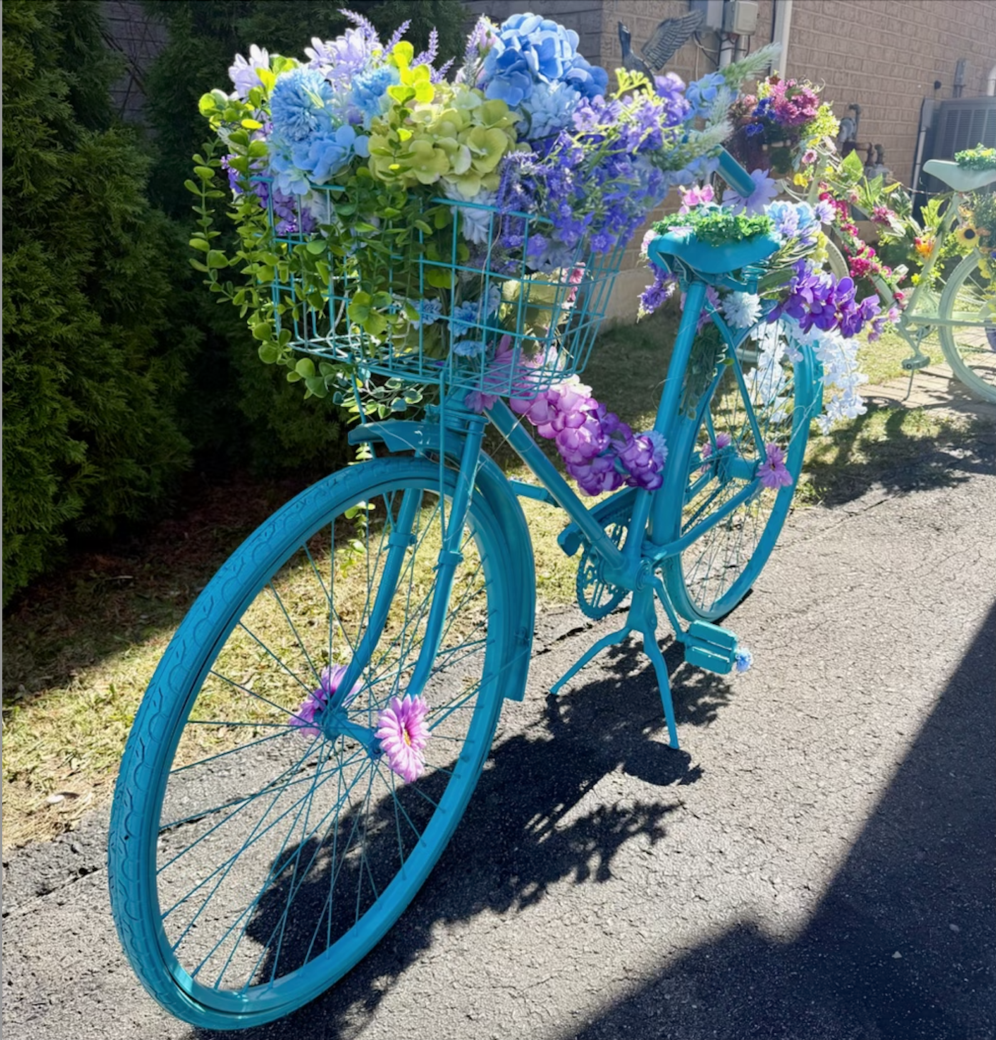 https://www.bloorwestvillagebia.com/wp-content/uploads/2026/05/Flower-Bikes-Blue.png