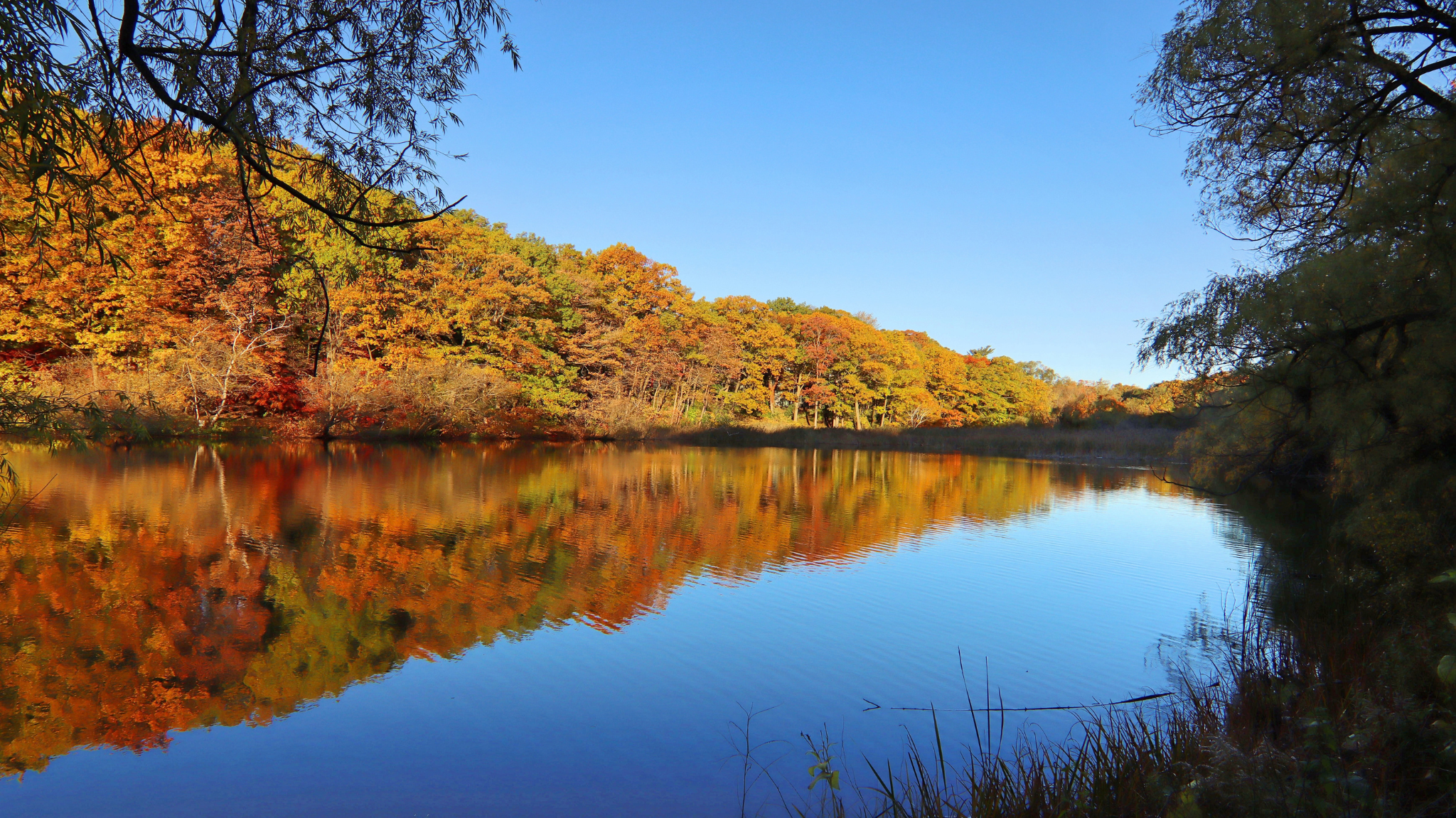 Guided Fall Colours Walk