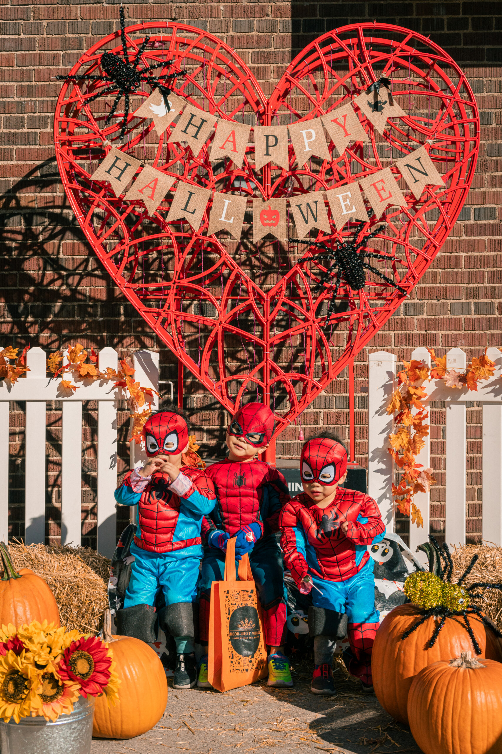 BWV Halloween Fest